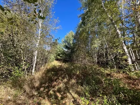 Exterior - n9730 East Solberg Lake Road, Phillips, WI 54555 photo 8 of 10