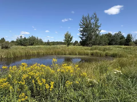 172755 Glenview Rd, Aniwa, WI 54408 photo 10