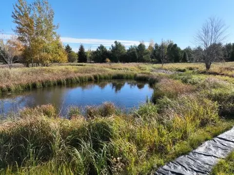 172755 Glenview Rd, Aniwa, WI 54408 photo 11