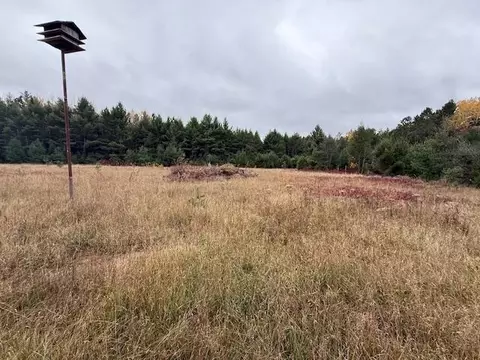 18205 Frels Rd, Cable, WI 54821 photo 5