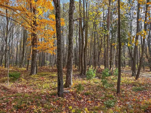 n9129 Elk River Road, Phillips, WI 54555 photo 10