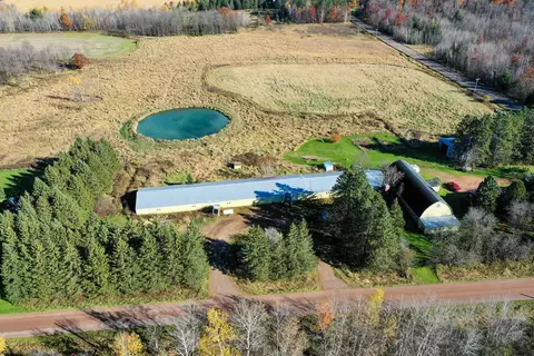 n5236 Forest Drive, Rib Lake, WI 54470