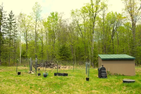 Exterior - n10660 Tower Road, Phillips, WI 54555 photo 6 of 11