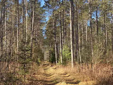 On Cth D, Tomahawk, WI 54487