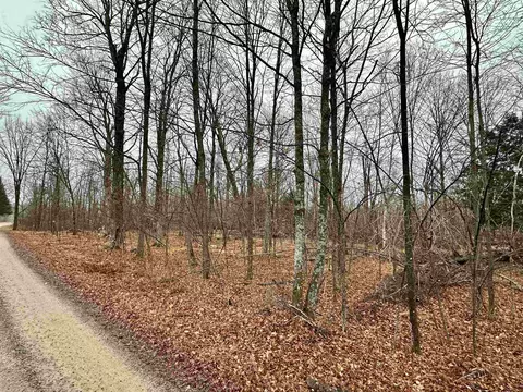 lot60 Chip N Dale Dr, Pickerel, WI 54465