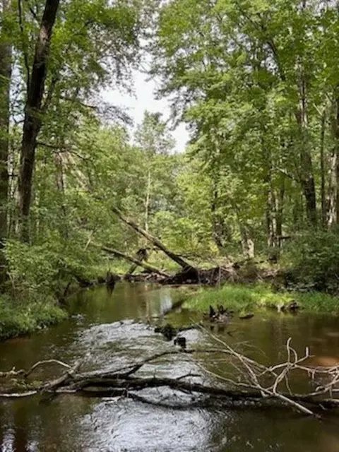 39 94 Acres County Road V, Pittsville, WI 54466
