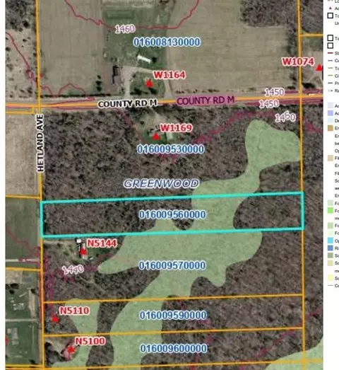 000 Hetland Ave, Rib Lake, WI 54470