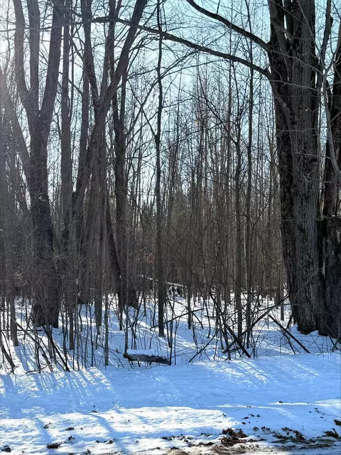5 7 Acres Forest Rd, Kronenwetter, WI 54455