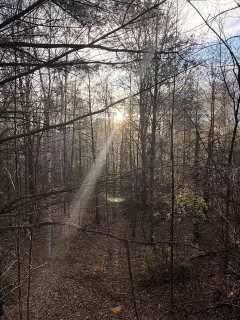 63 Acres Beranek Rd, Kronenwetter, WI 54455