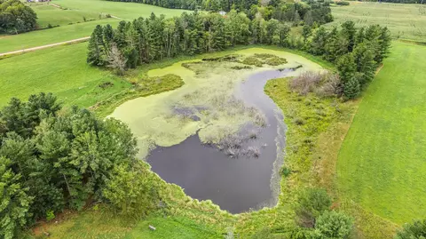 10498 E Saumer Rd, Rosholt, WI 54473 photo 16