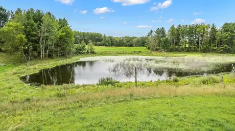 10498 E Saumer Rd, Rosholt, WI 54473 photo 11