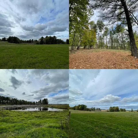 10498 E Saumer Rd, Rosholt, WI 54473 photo 23