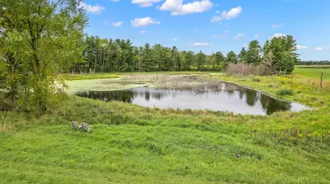 10498 E Saumer Rd, Rosholt, WI 54473 photo 12