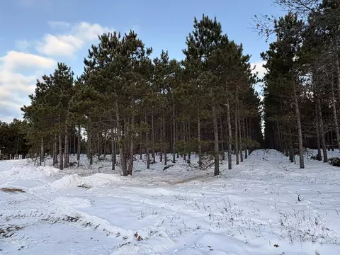 West 10 Acres Wilderness Lane, Wisconsin Rapids, WI 54494
