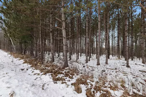 10 Acres Linwood Dr, Stevens Point, WI 54481