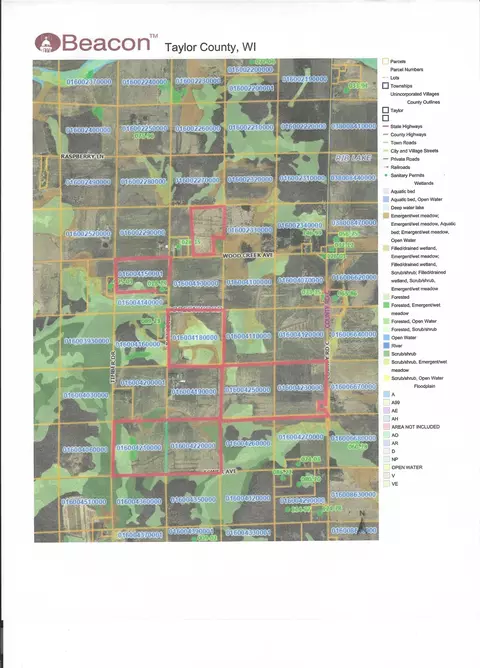 00 Judnic Rd, Rib Lake, WI 54470