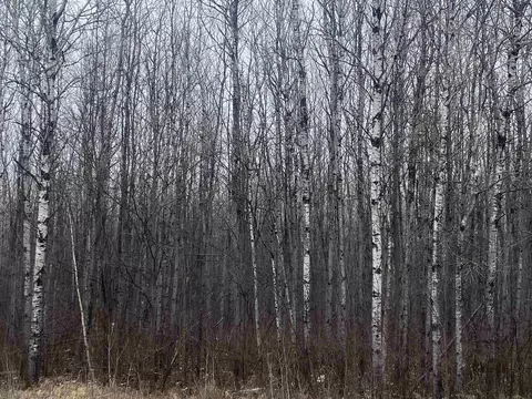 On County Road E, Tomahawk, WI 54487 photo 2