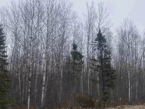 On County Road E, Tomahawk, WI 54487 photo 5