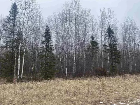 On County Road E, Tomahawk, WI 54487 photo 4