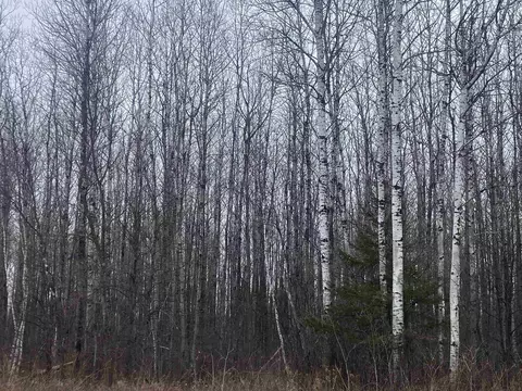 On County Road E, Tomahawk, WI 54487 photo 2