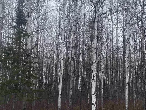 On County Road E, Tomahawk, WI 54487 photo 3