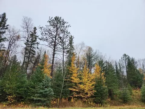 State Highway 86, Ogema, WI 54490