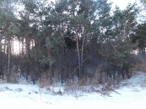 lot17 Prairie River Savannah, Merrill, WI 54452