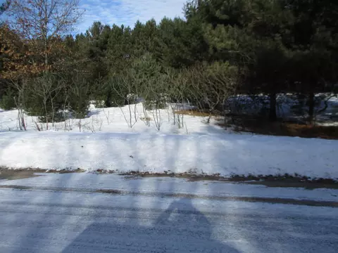 1922 Babbling Brook Rd, Stevens Point, WI 54481 photo 2