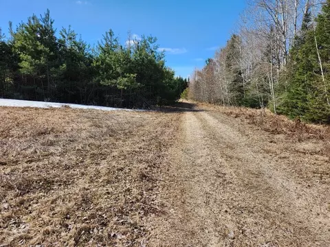 Leach Road, Irma, WI 54442 photo 12