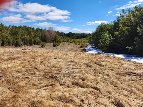Leach Road, Irma, WI 54442 photo 13