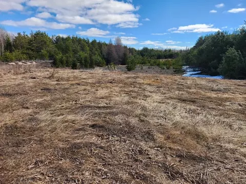 Leach Road, Irma, WI 54442 photo 2