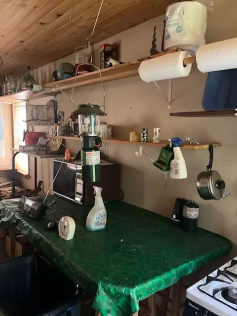 Leach Road, Irma, WI 54442 photo 8