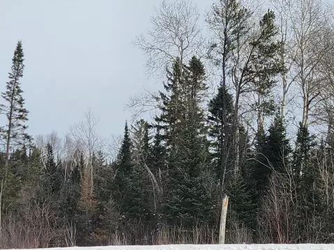 Leach Road, Irma, WI 54442 photo 5