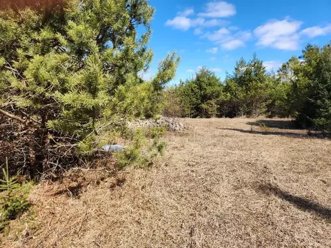 Leach Road, Irma, WI 54442 photo 3