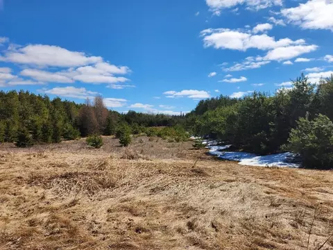 Leach Road, Irma, WI 54442 photo 14