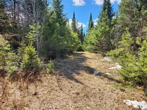 Leach Road, Irma, WI 54442 photo 16