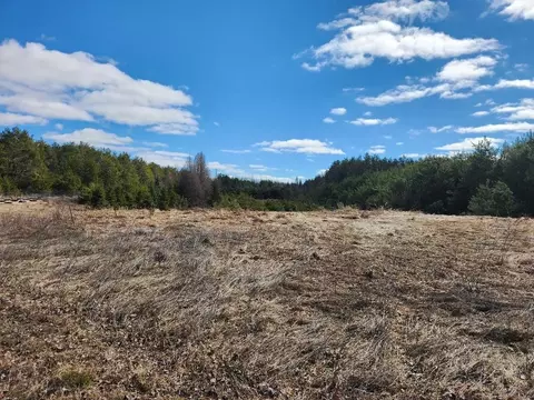 Leach Road, Irma, WI 54442 photo 11