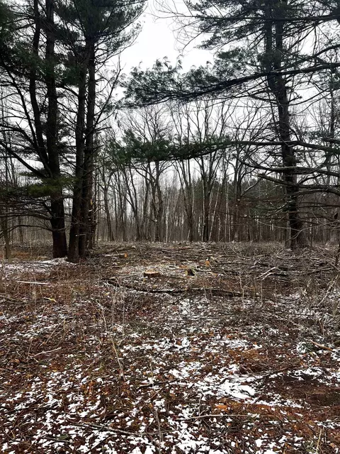 Mount Vista Road, Mosinee, WI 54455