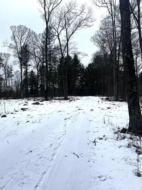 Saint Johns Road, Mosinee, WI 54455