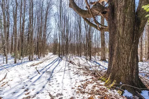18 28 Acres South Rd, Mosinee, WI 54455