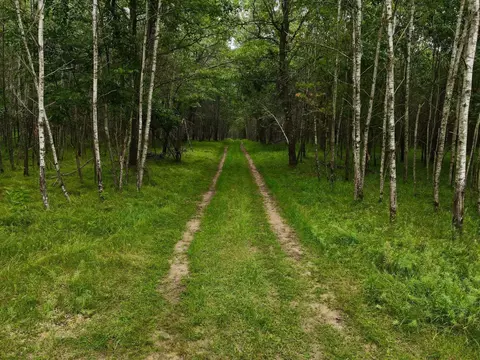 9880 Siemering Dr, Tomahawk, WI 54487 photo 16