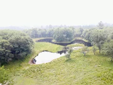 9880 Siemering Dr, Tomahawk, WI 54487 photo 14