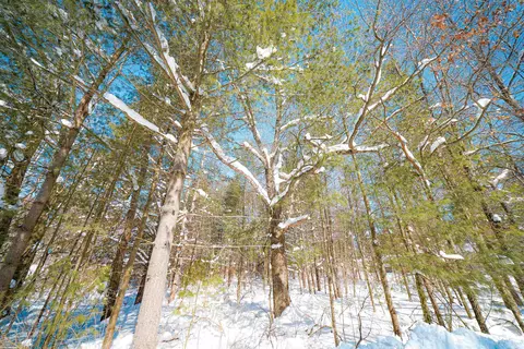 lot9 Center Rd, Merrill, WI 54452