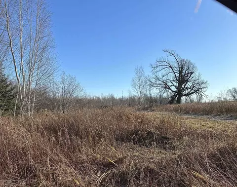 20 Acres On Cloverland, Conrath, WI 54731