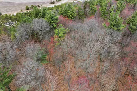 3 99 Acres Harding Rd, Plainfield, WI 54966 photo 17