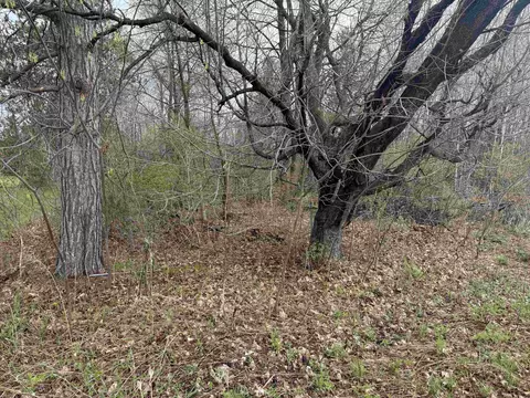 1 Acre Mol Merrill Ave, Wausau, WI 54401