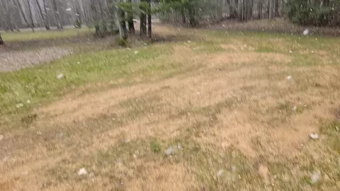 Other - n10803 Walleye Road, Pearson, WI 54462 photo 6 of 6