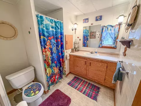 Bath - n14054 Linden Avenue, Fifield, WI 54524 photo 1 of 5
