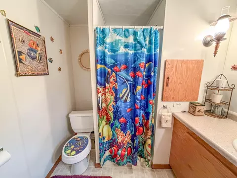 Bath - n14054 Linden Avenue, Fifield, WI 54524 photo 4 of 5