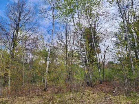 34 N Acres N 36th Ave, Wausau, WI 54401